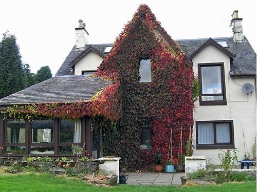 Achnabobane Farmhouse Spean Bridge Εξωτερικό φωτογραφία